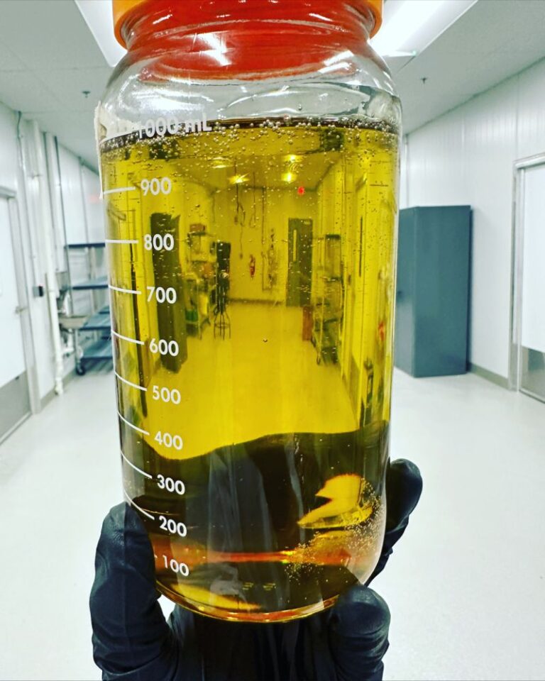 Read more about the article HHC distillate Liter