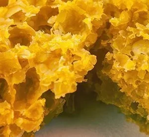 https://t.me/cannabisextractss 67 Honeycomb